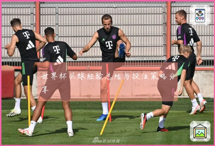 世界杯买球经验总结与投注策略分享