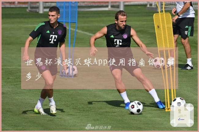 世界杯滚球买球App使用指南你了解多少